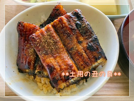 自宅のうなぎどんぶりの画像