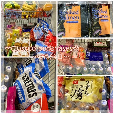 コストコ８月下旬購入品まとめ。糖尿病向けで低糖質のウズラ煮、スモークサーモン、無糖炭酸水。