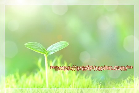 緑の草むらから小さな双葉が芽生えているクローズアップ。成長や希望を象徴する画像。