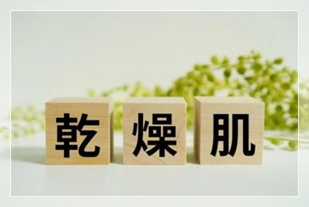 「乾燥肌」と書かれた木製ブロック。