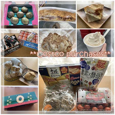 2025年11月度のコストコ購入品全体像。洋ナシ、ベーコンバトン、マロンソフト、低糖質ドリンク、雑穀パンなどが並んでいる。