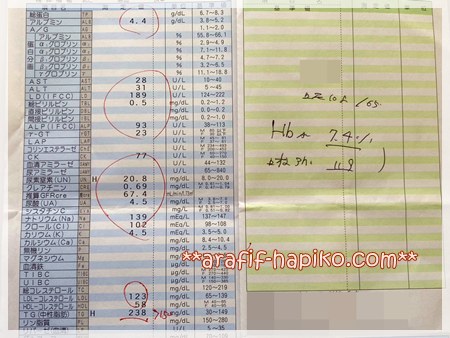 2025年11月の糖尿病検診での血液検査結果。HbA1cやコレステロールなど主な数値の記録写真。