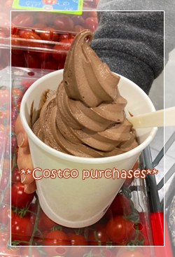 コストコフードコートの濃厚チョコソフトクリームを手に持っている様子。
