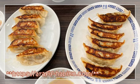 焼き餃子（肉餃子・野菜餃子）2皿の写真