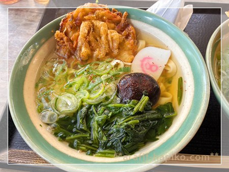 宮きしめん 白えび入りかき揚げきしめん 参拝後に食べた温かい一杯