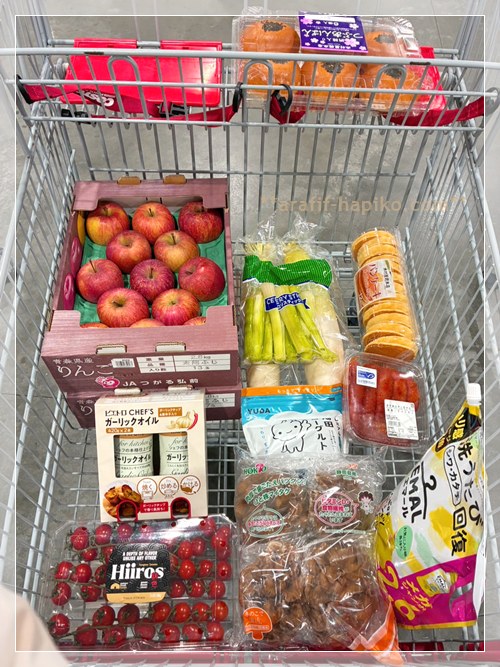 1月3回目のコストコ購入品カート 野菜と果物の補充のアイキャッチ画像