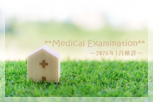 糖尿病検診の記録アイキャッチ画像（Medical Examination）