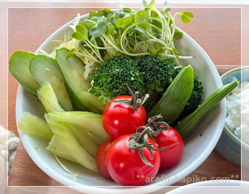 ブロッコリーとセロリスティックとミニトマトの野菜サラダ コストコ購入品で朝食サラダ