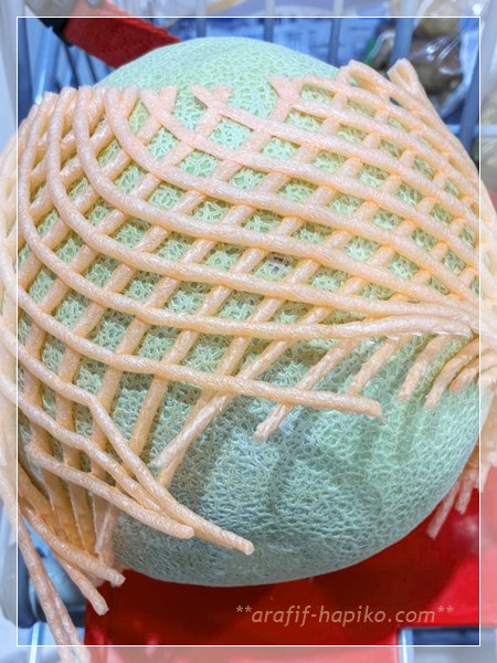 コストコで購入したカンタロープメロンの外観(ネットに包まれた状態)