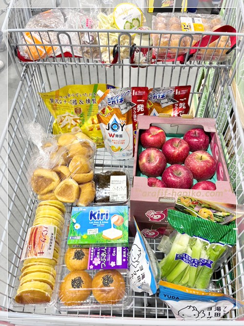 3月2回目のコストコ購入品カートの様子 姉購入品含む